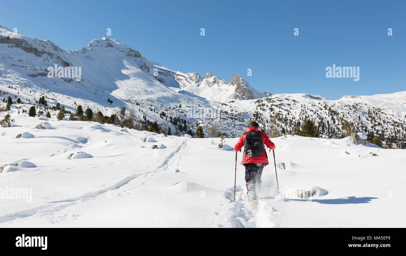 Un escursionista è camminare nella neve fresca nel parco naturale di Fanes, la provincia di Bolzano, Alto Adige, Trentino Alto Adige, Italia, Foto Stock