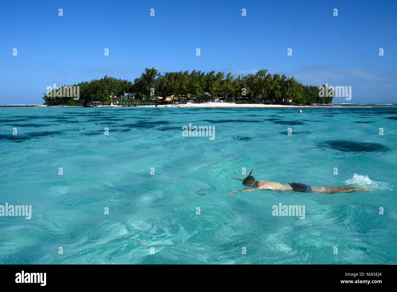 Gli uomini lo snorkeling a Coco Island, Mauritius, (mauriziana) Foto Stock