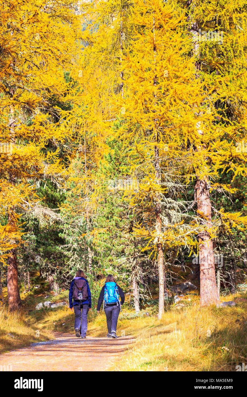 Due donne a piedi lungo un sentiero nella foresta. Valle Roseg, Engadina, Grigioni, Svizzera. Foto Stock