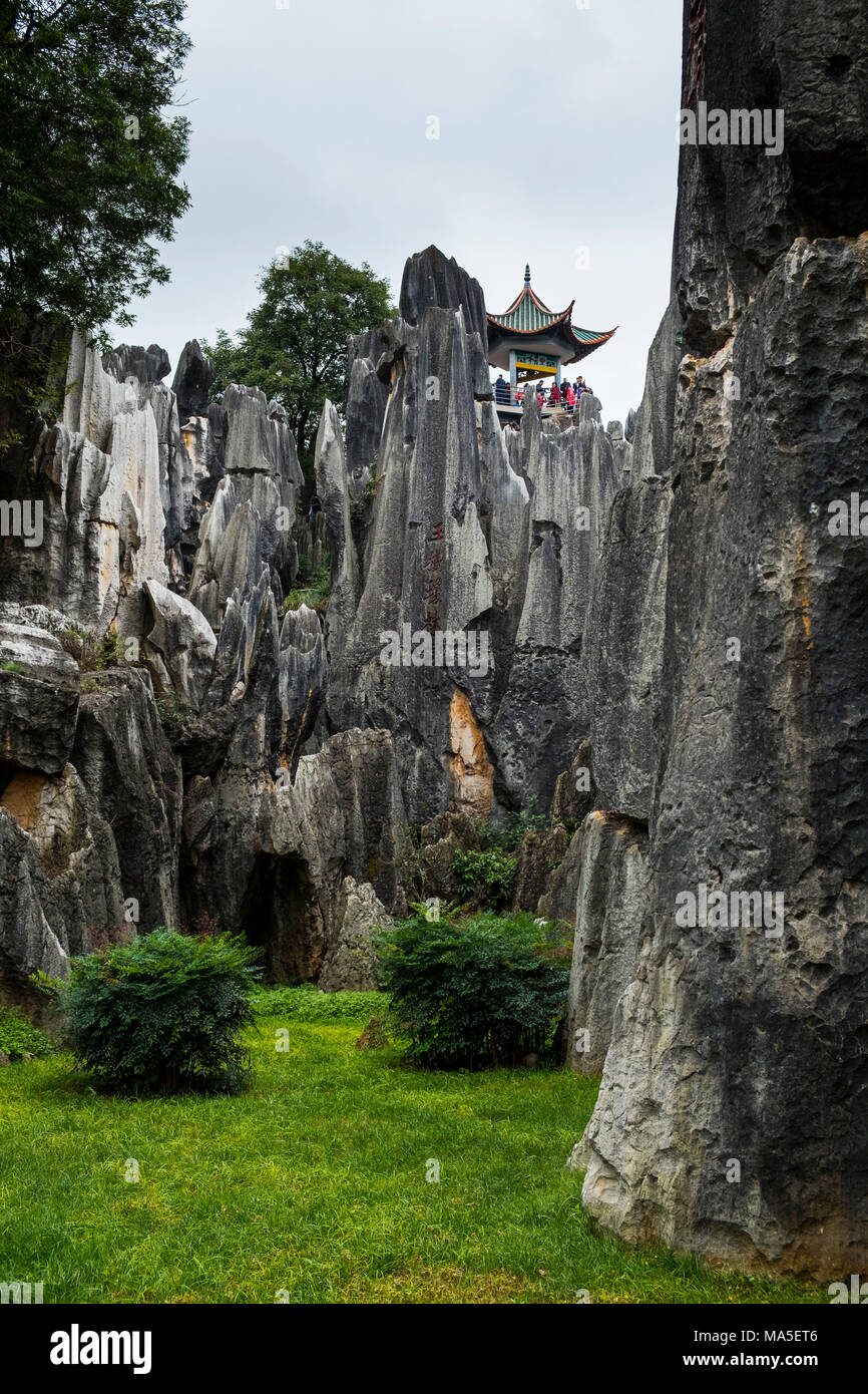 La foresta di pietra o di Shilin, Kunming, nella provincia dello Yunnan in Cina, Asia, Asia, Asia orientale, Estremo Oriente Foto Stock