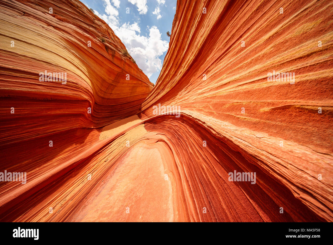 L'onda Coyote Buttes North, Paria Canyon-Vermillion scogliere deserto altopiano del Colorado, Arizona, Stati Uniti d'America Foto Stock