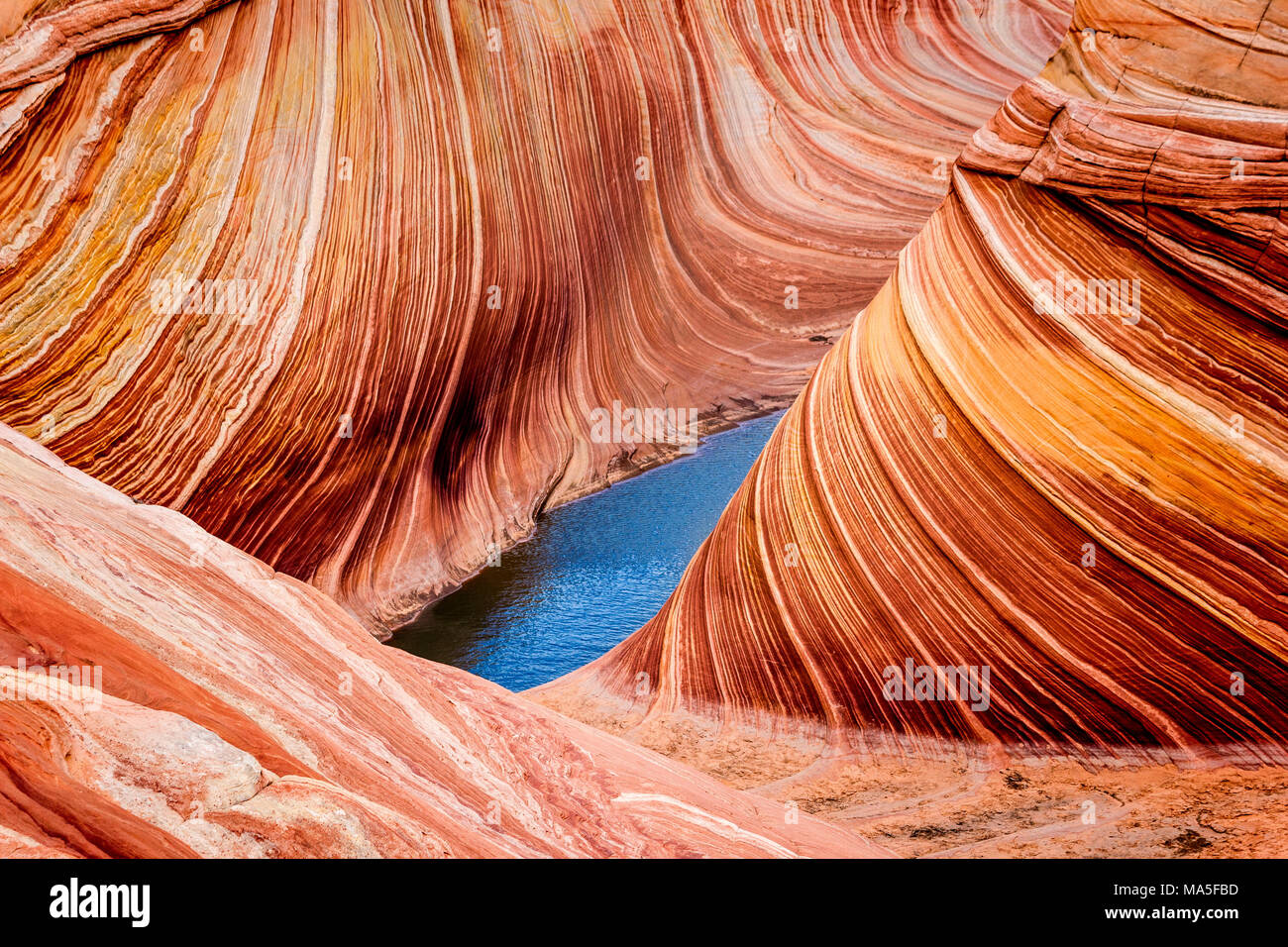 Il Wave rock formazione,Coyote Buttes, Paria Canyon Vermillion Cliffs, Arizona, Stati Uniti d'America Foto Stock