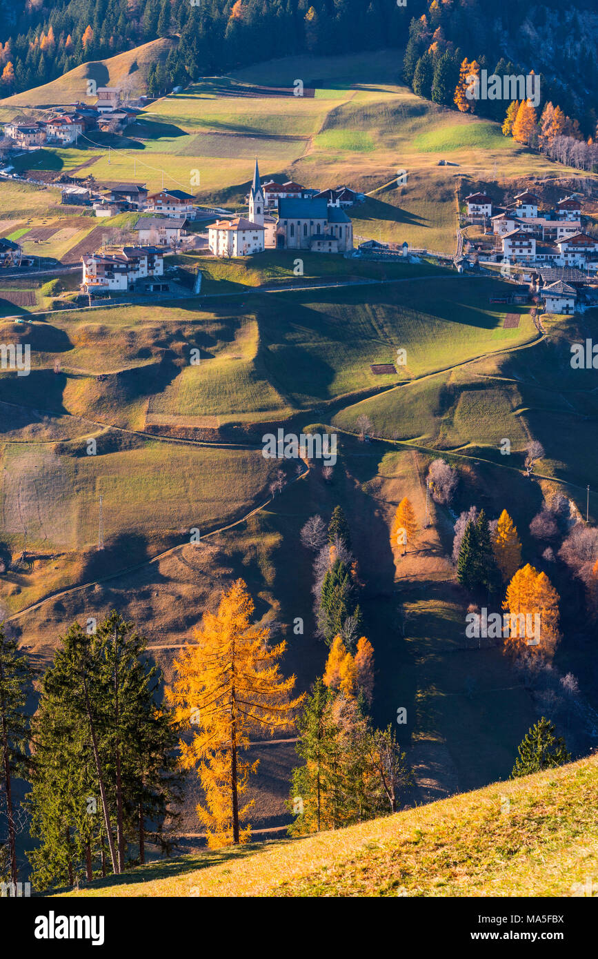 Risulta comune a golden ora l'Europa, Italia, Trentino Alto Adige, Bolzano distretto, Val di Non, Proves Foto Stock