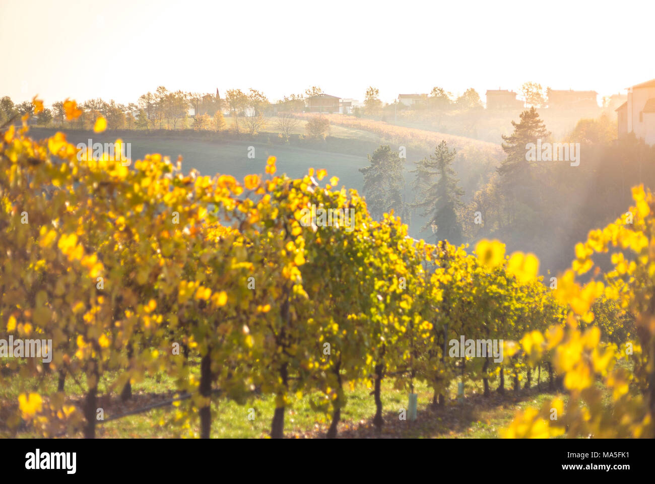 Levizzano Rangone, la provincia di Modena, Emilia Romagna, Italia Foto Stock