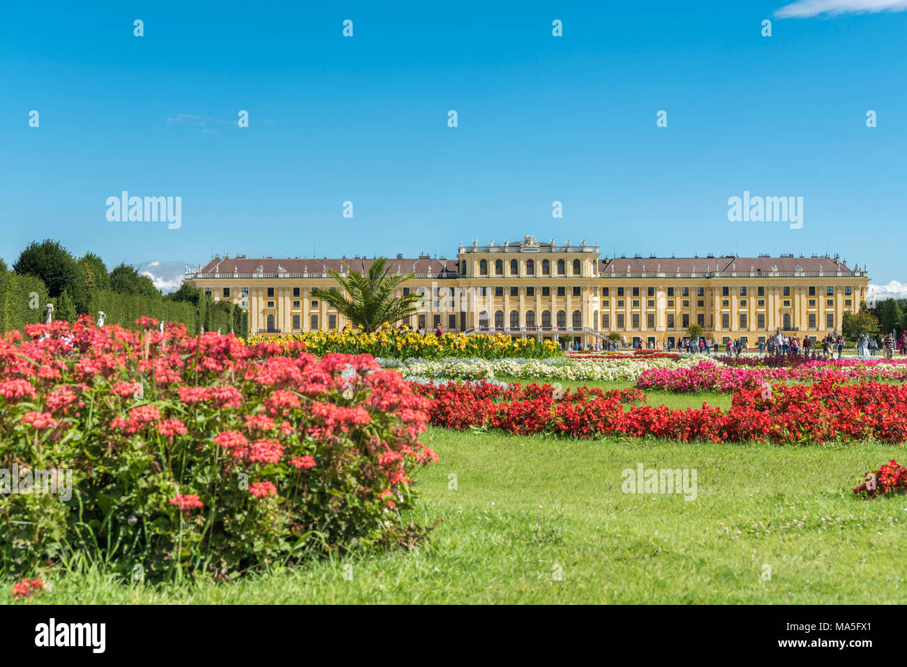 Vienna, Austria, l'Europa. Il grande parterre, il più grande spazio aperto nei giardini del Palazzo di Schönbrunn. Foto Stock