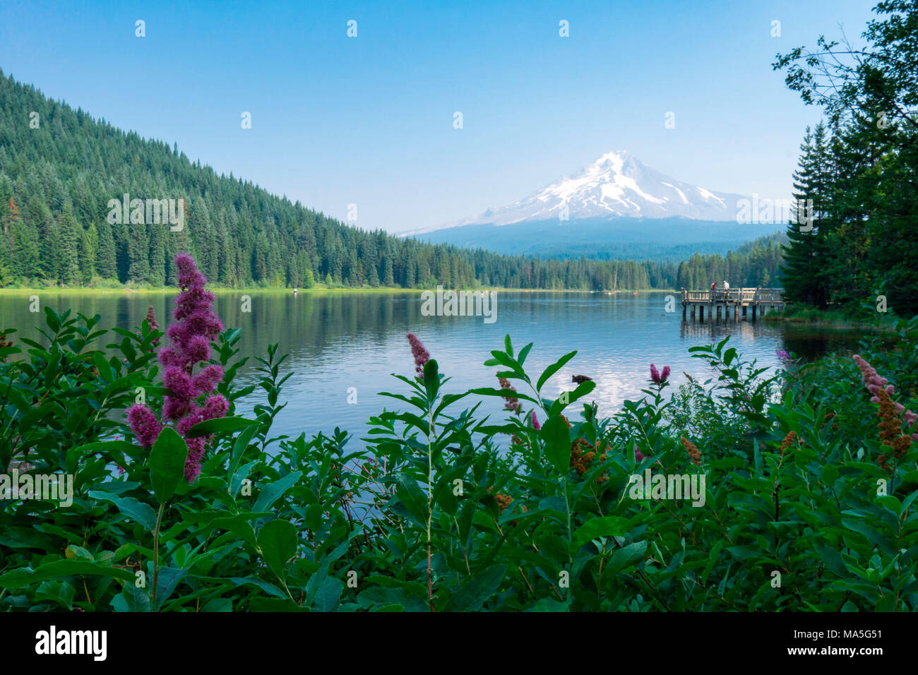 Trillium Lago, Monte Cofano parco dello Stato, Governo Camp, Oregon, Stati Uniti d'America Foto Stock