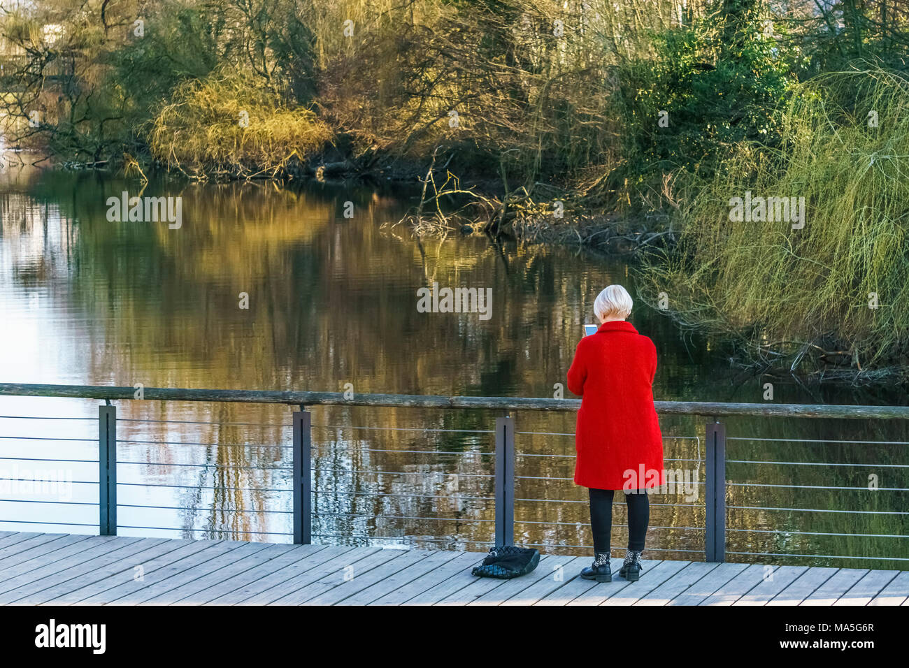 Vista posteriore di una donna che indossa un cappotto rosso in piedi su una passerella di legno su un fiume nella foresta e guardando il suo smartphone. Foto Stock