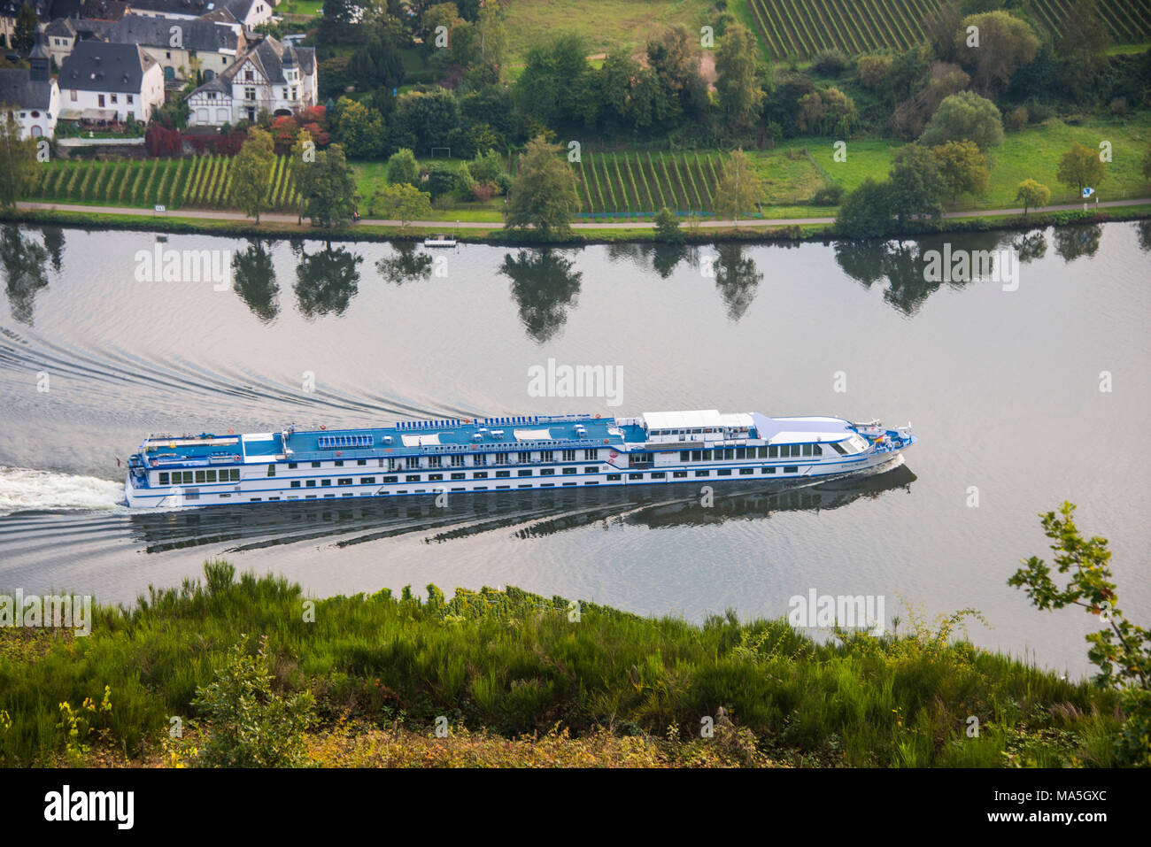 I vigneti intorno a Piesport e una nave da crociera sul fiume Moselle, valle della Mosella, Renania-Palatinato, Germania Foto Stock