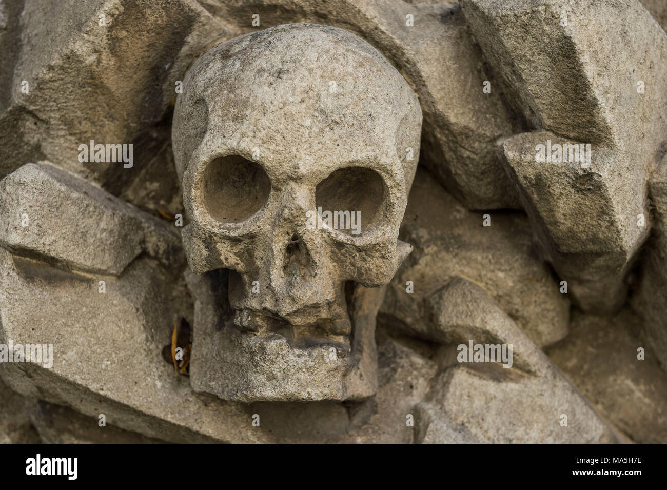 Cranio di pietra su una chiesa della Trinità nel cimitero di marcatori grave, Chiesa della Santissima Trinità, patrimonio mondiale dell'Unesco, Regensburg, Baviera, Germania Foto Stock