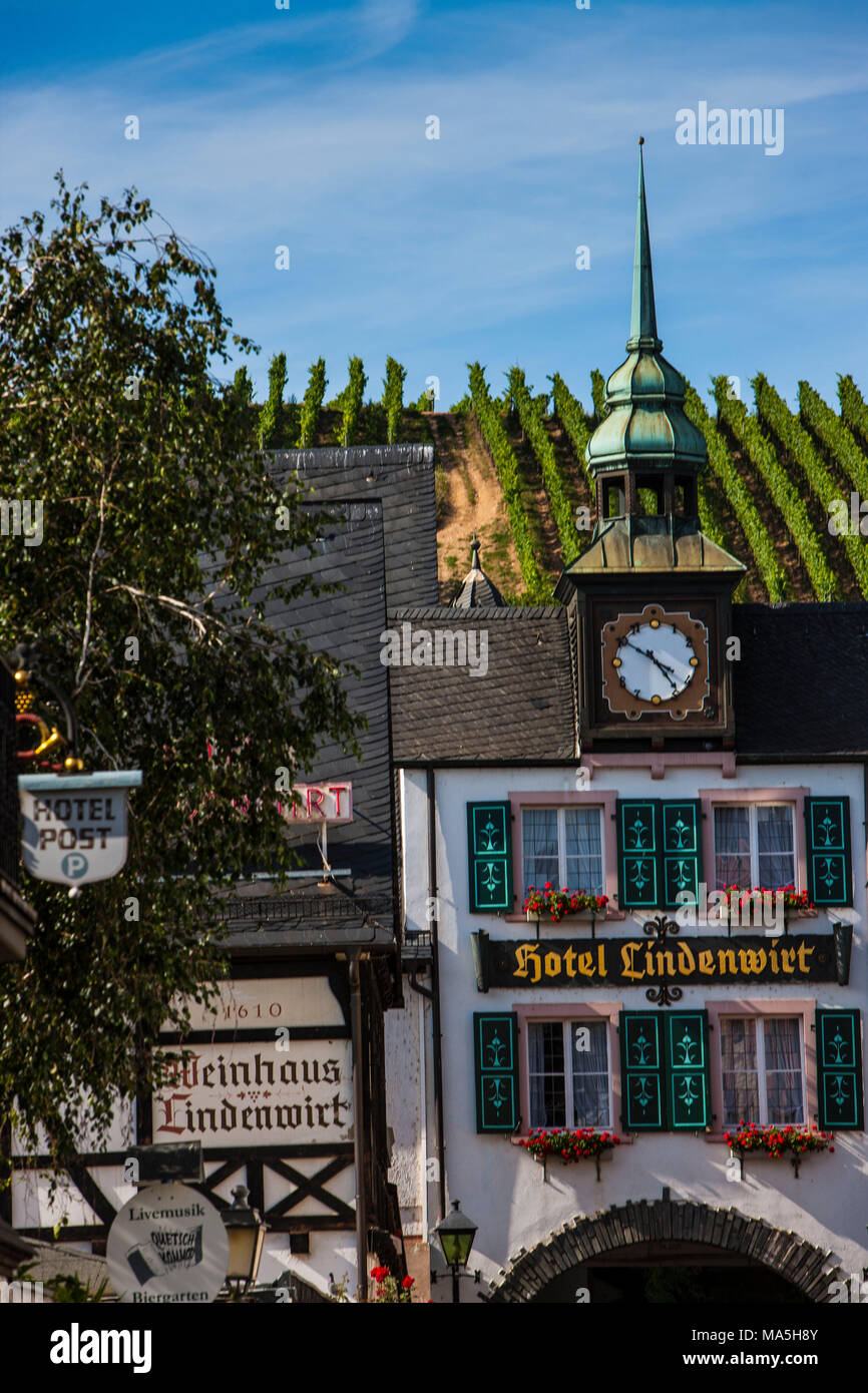 Un vecchio hotel tra le uve da vino, la valle del Reno, Germania Foto Stock