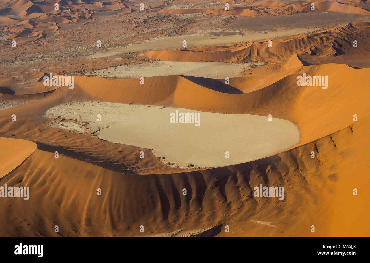Antenna di un lago morto, vlei, nel deserto del Namib, Namibia Foto Stock
