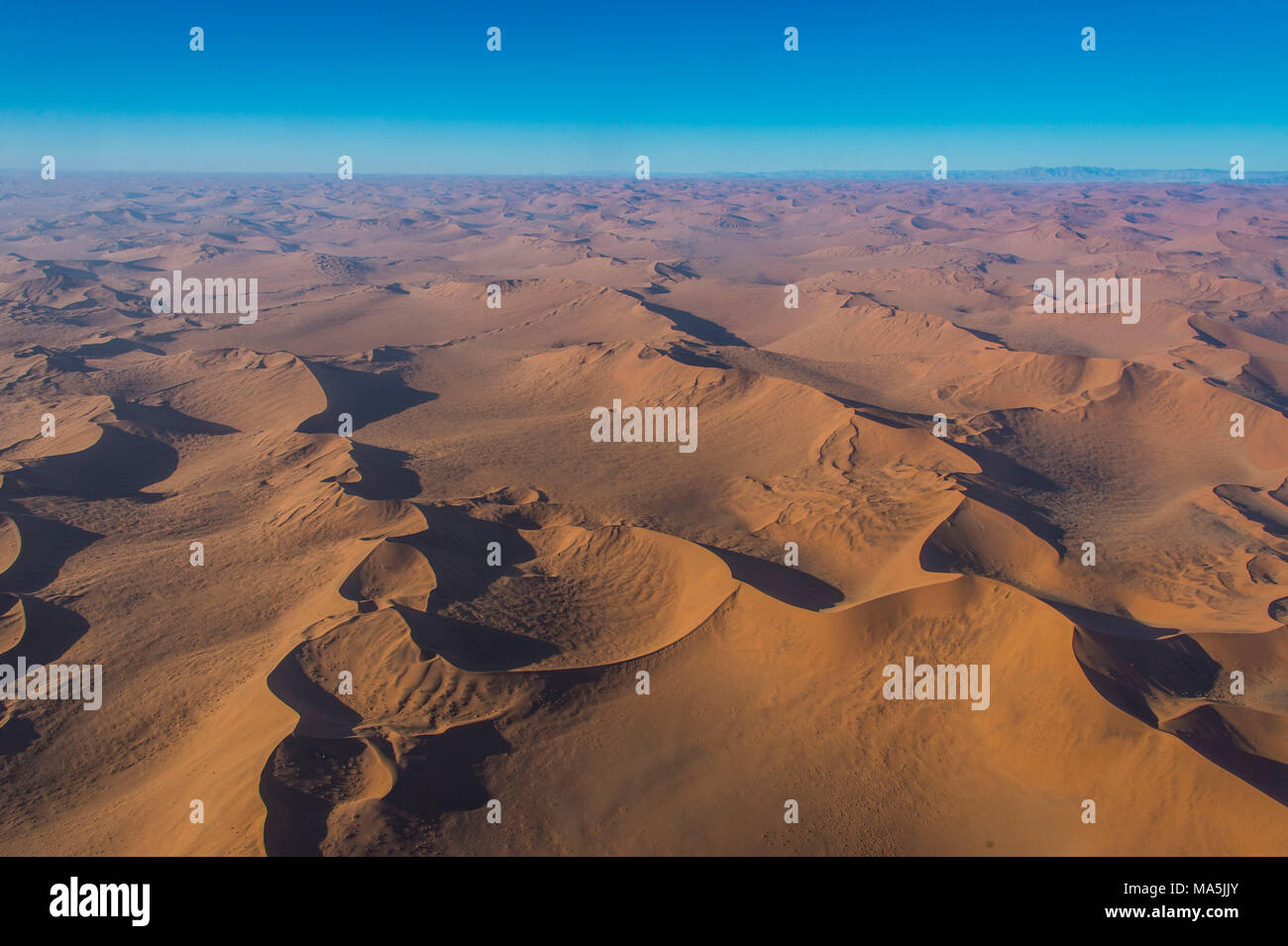 Antenna del Namib Desert, Namibia Foto Stock