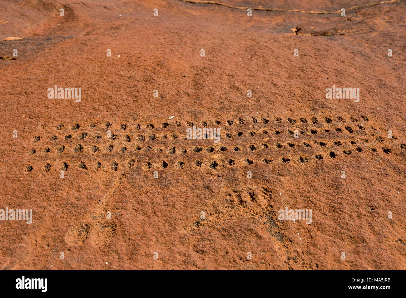 Antiche incisioni rupestri, patrimonio mondiale dell'Unesco, Twyfelfontein, Namibia Foto Stock