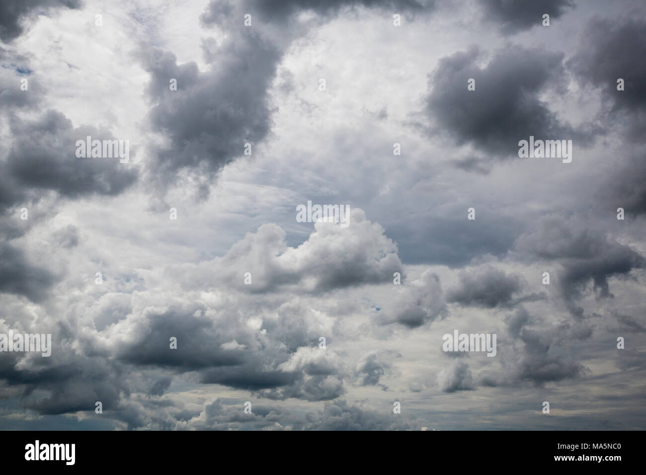 La raccolta di estate Thunder nuvole, Manchester, Iowa. Foto Stock