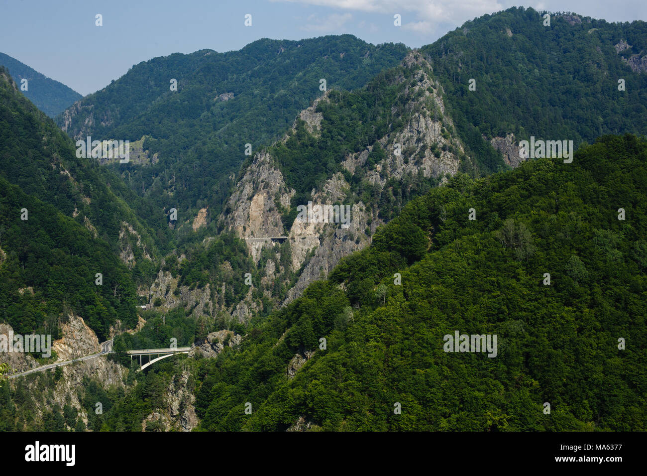 Vista aerea di strada di montagna dal castello di Poenari Cetatea in Romania Foto Stock