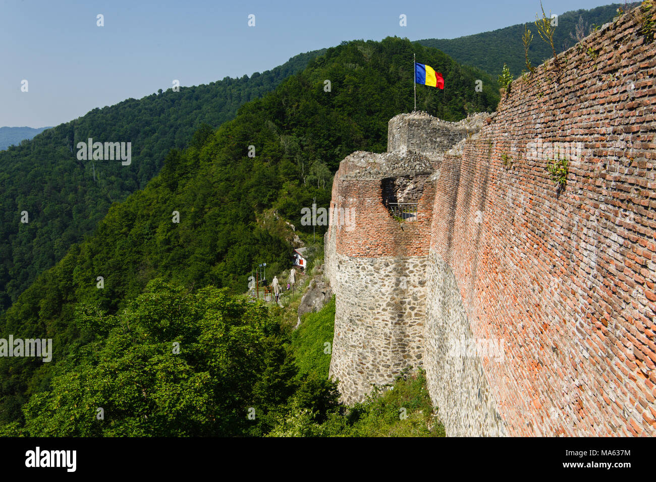 Rovinato Poenari castello sul monte Cetatea in Romania Foto Stock