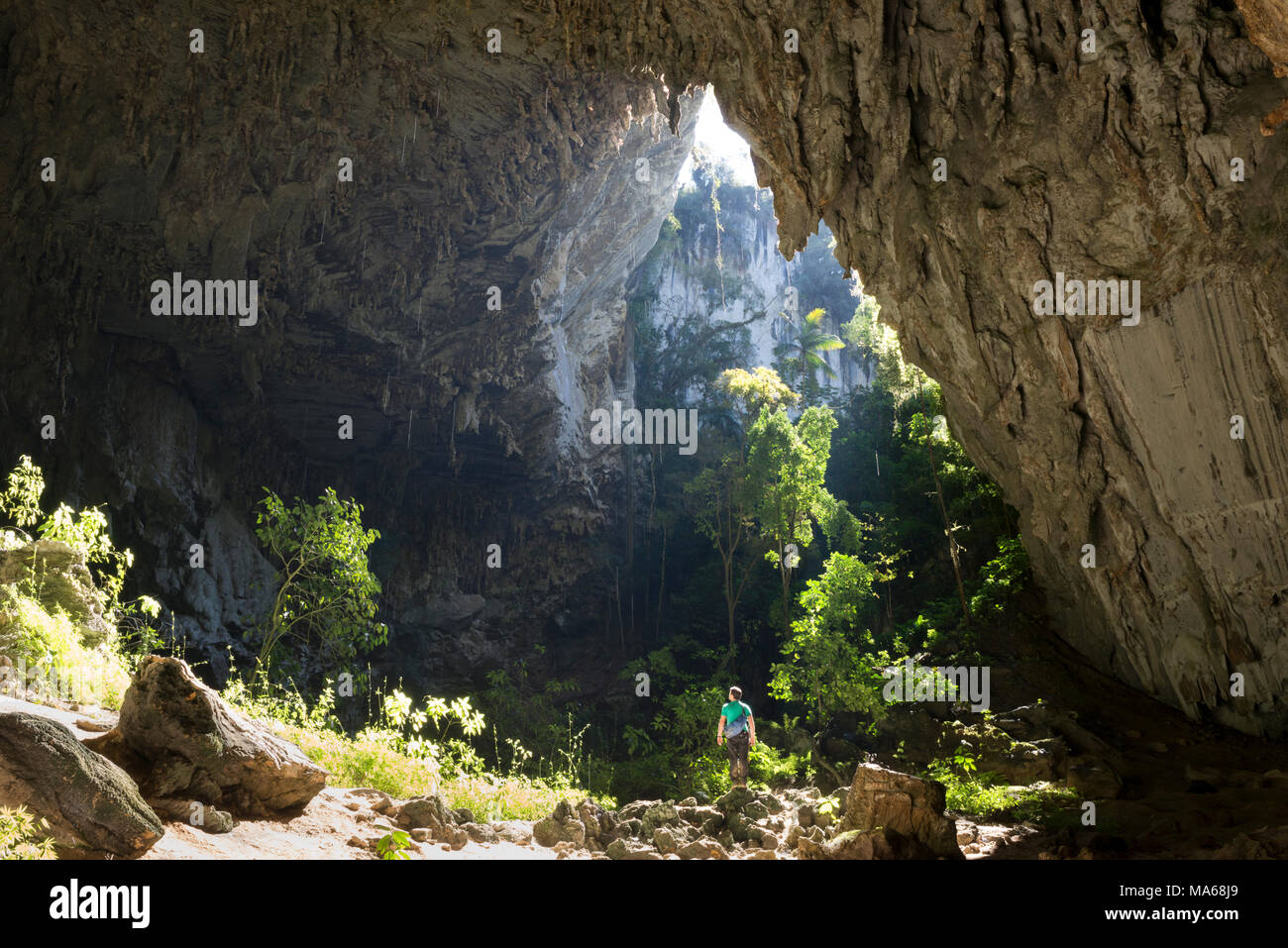 L'ingresso principale alla grotta Temimina, a PETAR Foto Stock
