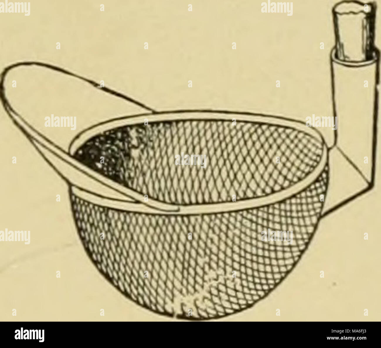 . Entomologia elementare . Fig. 46S. Un tuffo di acqua net Fig. 469. Un piccolo tuffo netto (dopo Packard) (dopo Howard) più vicino al fondo. La rete stessa dovrebbe essere realizzato di ottone fine- filo netting, circa dodici centimetri di diametro e di circa la stessa profondità. Fig. 469 mostra un calo netto con una flangia, o labbro, di stagno o una lastra di ferro, che è utile per la rimozione larve acquatiche o gli insetti dalle pietre intorno, denso di erbacce, ecc. TJie sag net (Fig. 470). Questa forma di acquatico net è descritto dal professor James G. Needham, che probabilmente è il nostro migliore autorità su insetti acquatici, come segue : esso è costituito da un anello o Foto Stock