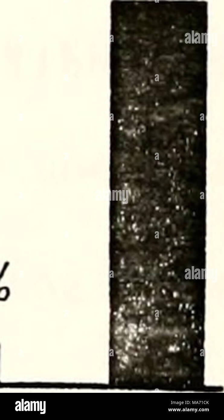 . Effetti di tre commerciale i metodi di raccolta su letti di cozze . BAR DRAGARE DIVER Figura 4. Il campionamento o l'efficienza di mietitura di marcia. Nella parte superiore del grafico, il bersaglio è tutti i molluschi vivi. In mezzo grafico, il bersaglio è tutte le cozze &gt;6 cm in altezza (criterio giuridico), e il bersaglio nel grafico in fondo è washboards &gt;9 cm e tre ridge e un paio di altre specie &gt;7 cm (shell acquirenti" criteri). Foto Stock