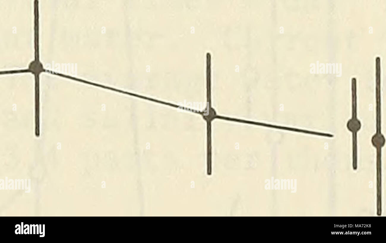 . Effetti del dragaggio e la disposizione su alcuni benthos a Monterey Bay, California . eon per core e 95% Intervallo di Confidenza J L a. Â Â > 05 O O CO O Z 1971 1972 1973 figura 14. La diversità delle specie e la regolarità del totale della fauna (grafico superiore) e il numero di specie della fauna totale (grafico in basso) (freccia indica lo smaltimento). 47 Foto Stock