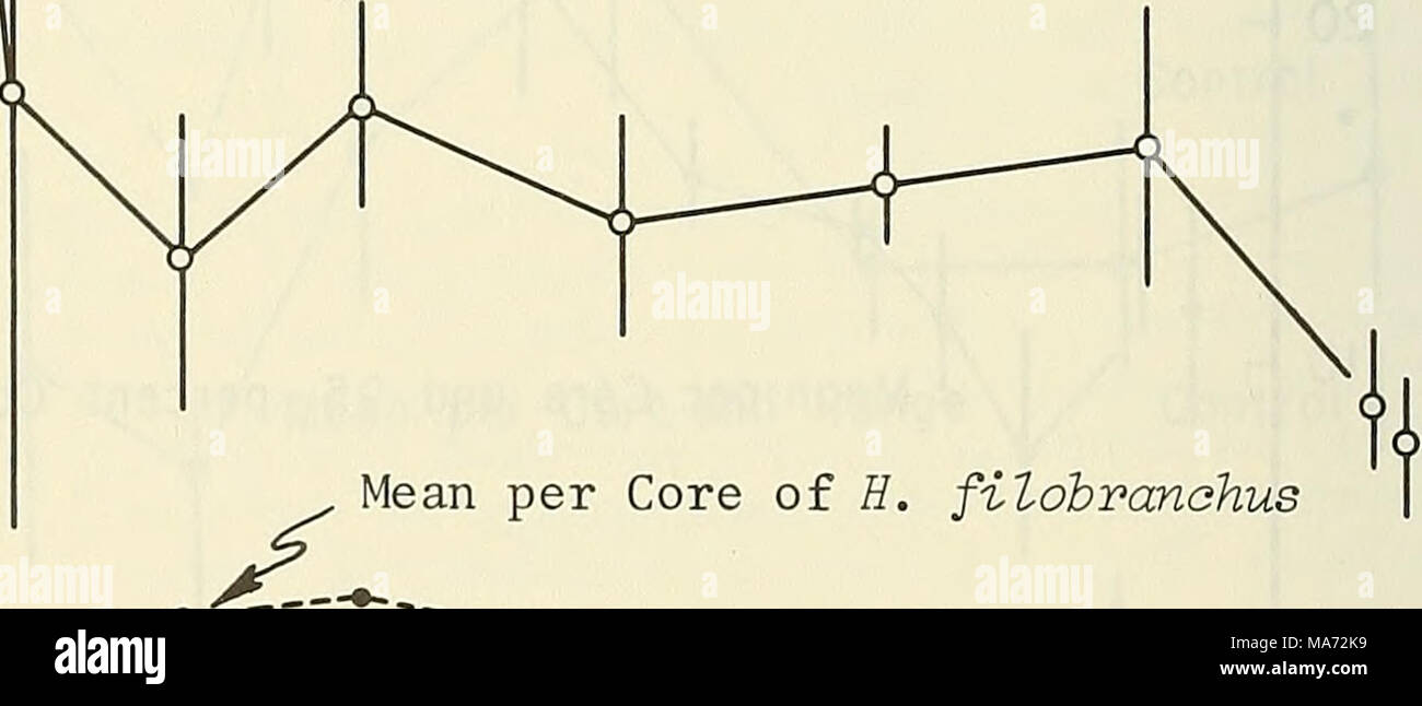 . Effetti del dragaggio e la disposizione su alcuni benthos alla baia di Monterey in California . V- 1971 1972 I 1972 figura 15. Media per nucleo di novellame di bivalvi (grafico superiore) e il numero di individui del totale della fauna e Hetevomastus filohranohus (grafico in basso) (freccia indica lo smaltimento). 48 Foto Stock