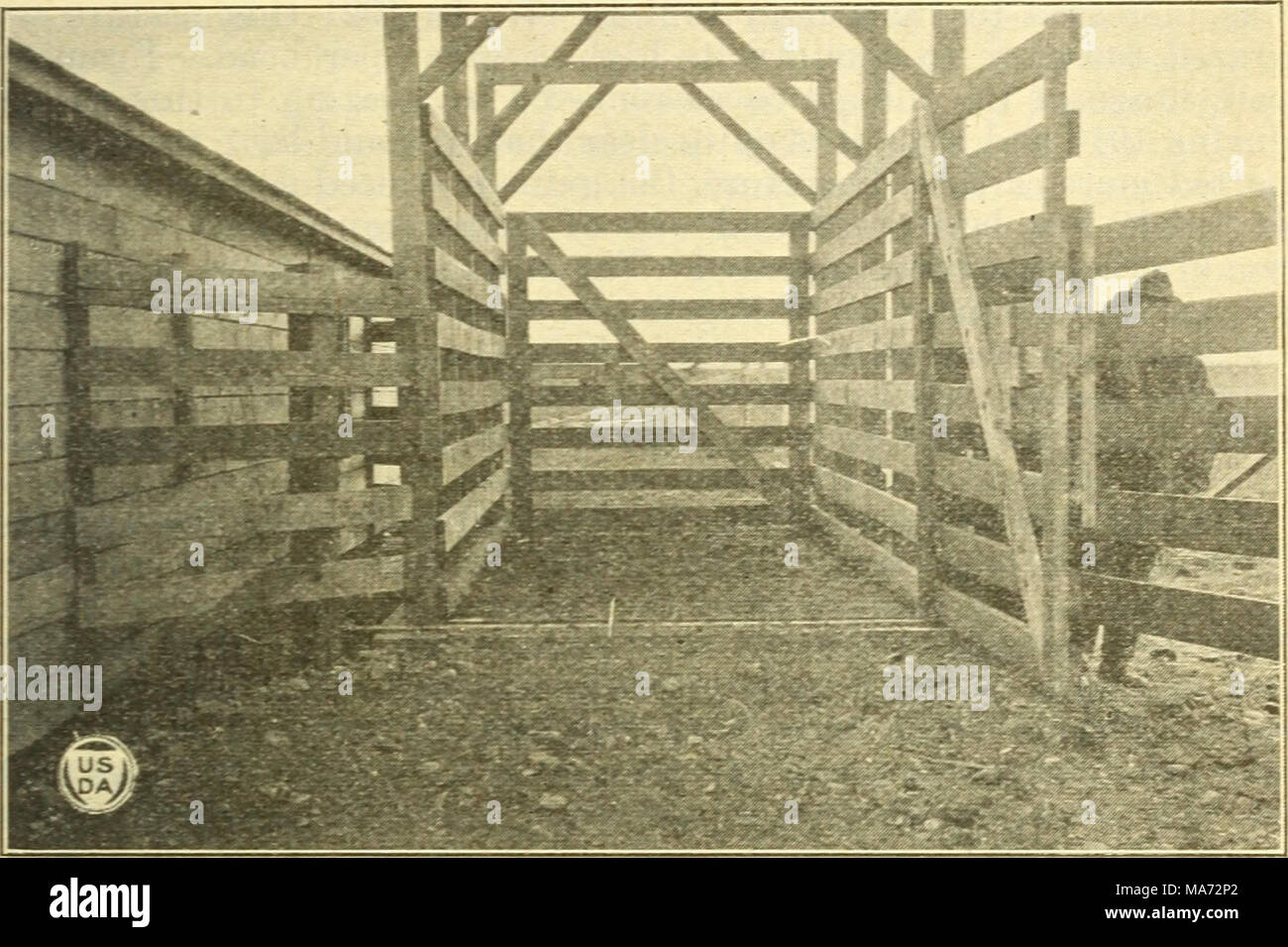 . Gli effetti dei diversi sistemi e intensità di pascolare su la vegetazione nativa presso la Northern Great Plains stazione di Campo . Fig. G.-una vista ravvicinata della cremagliera sulla piattaforma della bilancia. I cancelli sono azionati dall'esterno per mezzo di funi e pulegge. Tabella 2.-media mensile e guadagni stagionali di 2-year-old manzi, che mostra l'aumento di peso ottenuti nei pascoli pascolato in continuo per un periodo di sei anni, il 1916 e il 1921 incluso, e nella rotazione di pascoli per quattro anni, 1918 - 1921, incluso.1 media totale di plusvalenze o minusvalenze1 (lb). Mensile. Stagionale.3 pascolo. Numero medio. Foto Stock