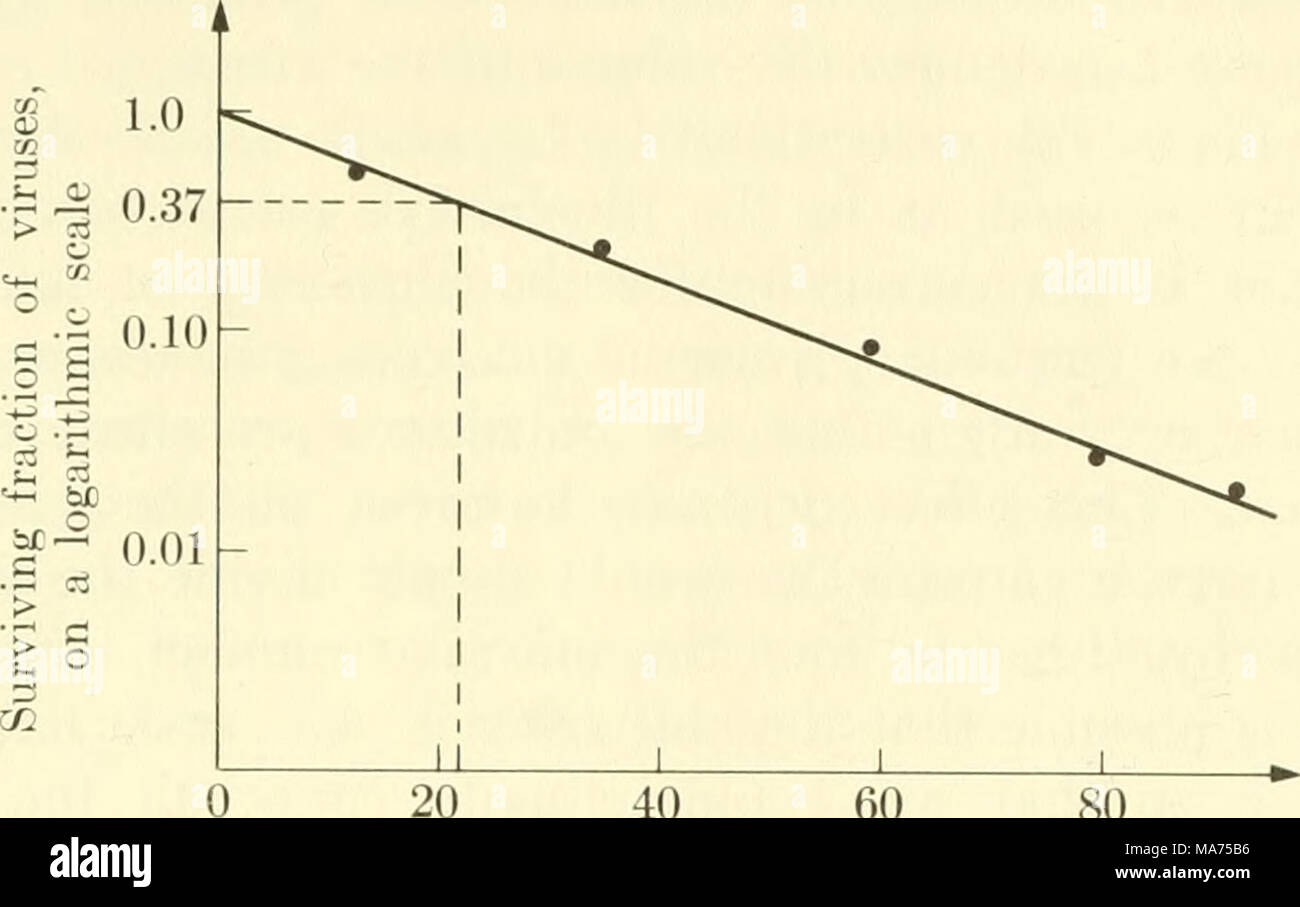 . Biofisica elementari: temi selezionati . 20 40 60 80 X-ray dose in unità di 1000 roentgens Fig. 52. I raggi x inattivazione del batteriofago alfa. La dose per il processo di produ- zione 37% di sopravvivenza è trovato da linee tratteggiate da circa 23.000 roentgens. proprietà di tutte le radiazioni di cui abbiamo parlato in precedenza e il num- ber di ionizations prodotta per cc di sostanza è un numero che può essere individuata osservando nella corretta libri sulla biologia di radiazione. Esso dipende dalla natura della sostanza, per esso dipende dal numero di elettroni sono contenute per unità di volume. Per un tipico materiale biologico (wet ti Foto Stock