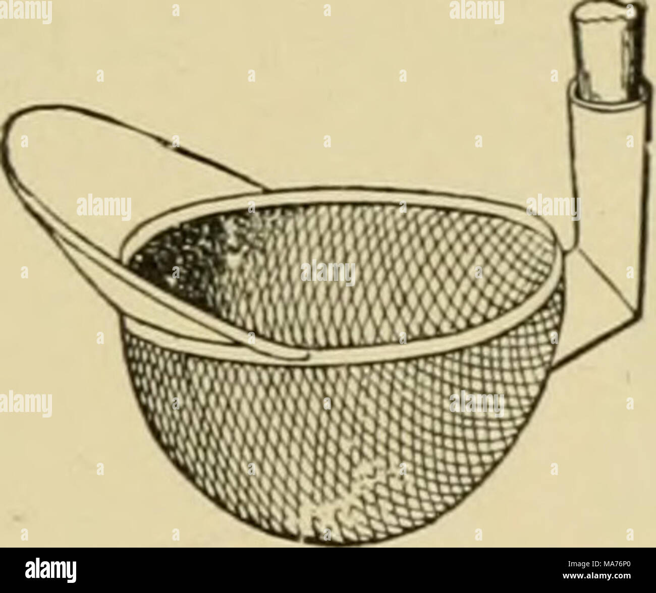 . Entomologia elementare . Fig. 46S. Un tuffo di acqua net Fig. 469. Un piccolo tuffo netto (dopo Packard) (dopo Howard) più vicino al fondo. La rete stessa dovrebbe essere realizzato di ottone fine- filo netting, circa dodici centimetri di diametro e di circa la stessa profondità. Fig. 469 mostra un calo netto con una flangia, o labbro, di stagno o una lastra di ferro, che è utile per la rimozione larve acquatiche o gli insetti dalle pietre intorno, denso di erbacce, ecc. TJic sag net (Fig. 470), questa forma di acquatico net è descritto dal professor James G. Needham, che probabilmente è il nostro migliore autorità su insetti acquatici, come segue : esso è costituito da un anello o Foto Stock