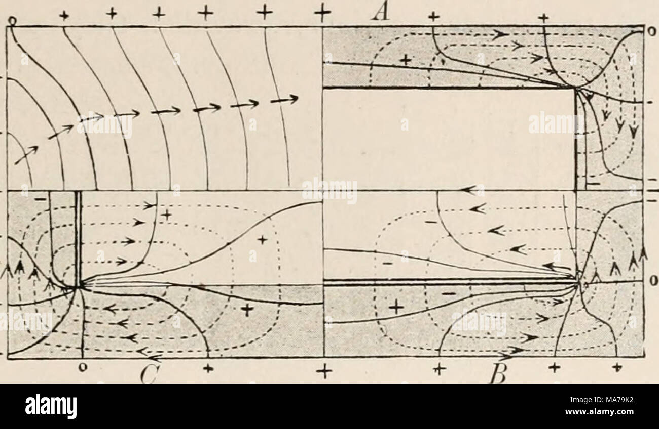 . Elettro-fisiologia . FIG. 109.-Schema di distribuzione ipotetica di piani elettromotrice in un muscolo-fibra. Sezione longitudinale assiale. (Hermann.) corpo corrisponde con la somma delle potenzialità messe in gioco a questo punto particolare da ogni forza elettromotrice rispettivamente, si possono concepire molte combinazioni in cui lo stesso distribu- zione della superficie-potenziale sarebbe sempre presente in sé. Passando ora al caso in cui un corpo cilindrico presenta una simile azione elettromotrice a quello che si verifica in corrispondenza di entrambe le estremità di un muscolo con fibre parallele, fornito ad entrambe le estremità con un artifici Foto Stock