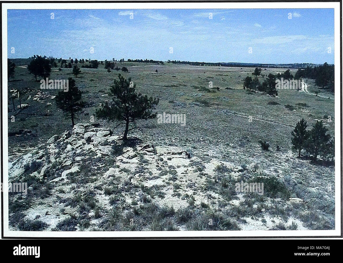 . Ottanta anni di vegetazione e il paesaggio cambia nel nord della Grande Pianura : un archivio fotografico . Sinossi il cambiamento principale è l'in- pieghe nella densità e copertura di Pinus ponderosa attraverso il paesaggio. La crescita di alberi singoli è evidente. In orizzontale sul lato sinistro della figura mostra rem- nants di un fuoco dal 1984, che ha lasciato alcuni intoppi e rimosso diverse conifere. Cropland nel centro della foto è esistito almeno dal 1918. 23 Foto Stock