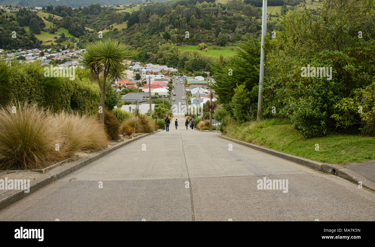 Baldwin Street, la strada più ripida del mondo, Dunedin, Nuova Zelanda Foto Stock
