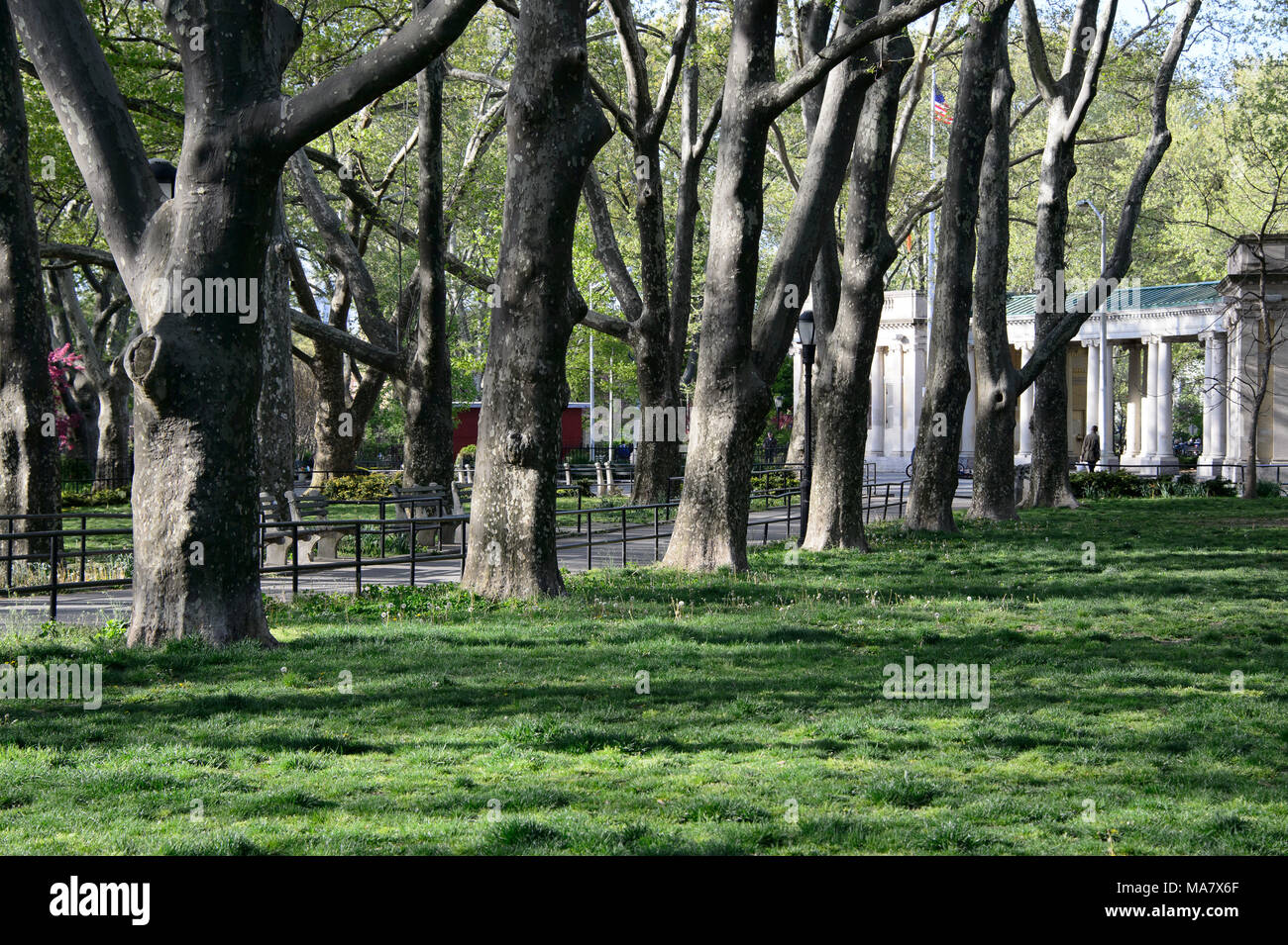 Gli alberi e il verde erba la linea di un percorso che conduce a un padiglione a Monsignor McGolrick Park, a Brooklyn, New York City, maggio 2013. Foto Stock