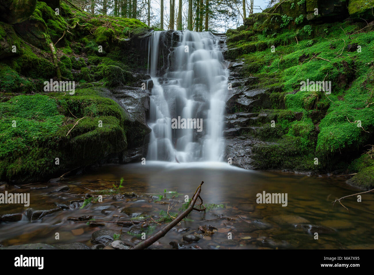 Verde muschio cascata, il Parco Nazionale di Brecon Beacons, Wales, Regno Unito. Foto Stock