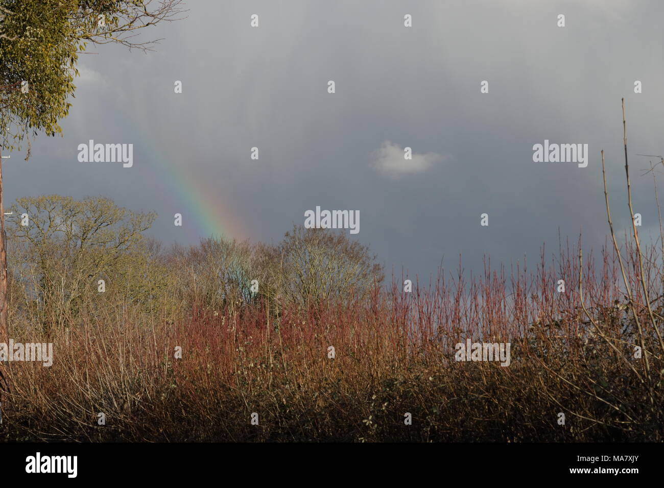 Severn Rainbow Foto Stock