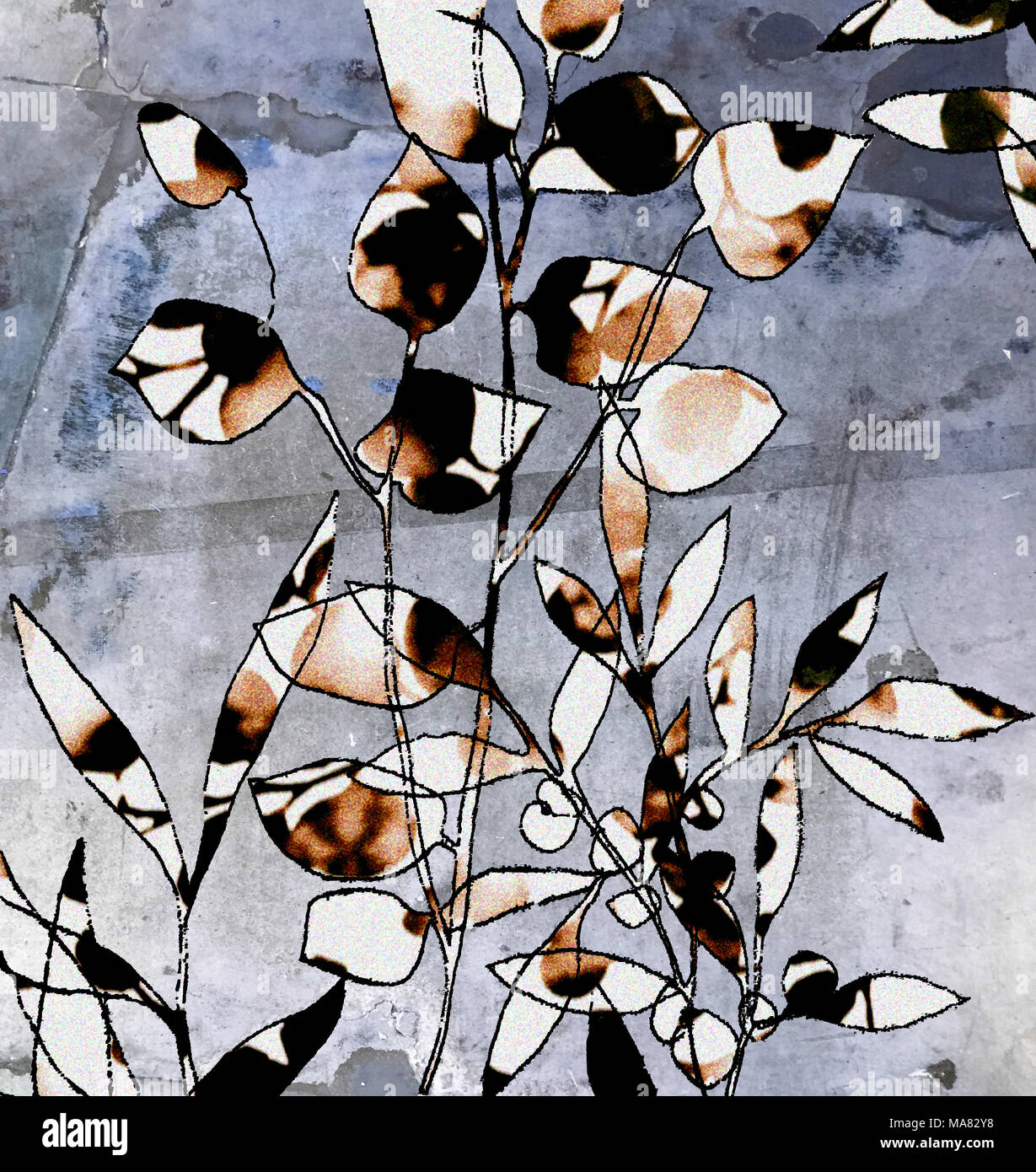 Foglie e bacche Foto Stock