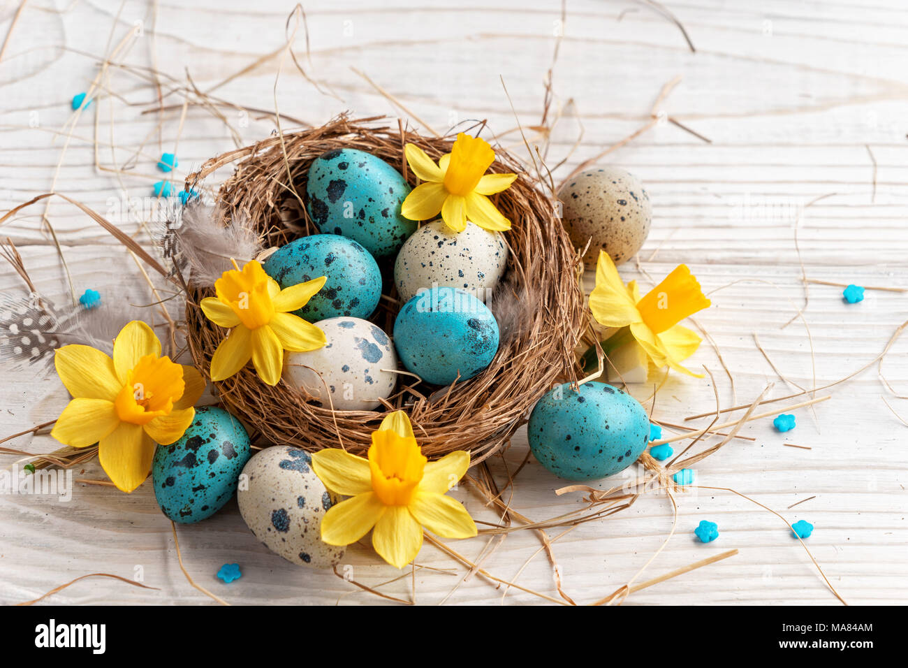 Sfondo di pasqua con le uova di Pasqua e fiori di primavera. Vista da sopra con copia spazio. Foto Stock