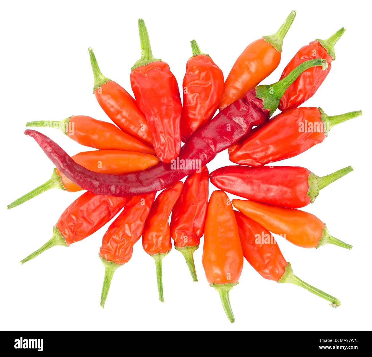 Vista superiore del peperoncino isolato su uno sfondo bianco. Foto Stock