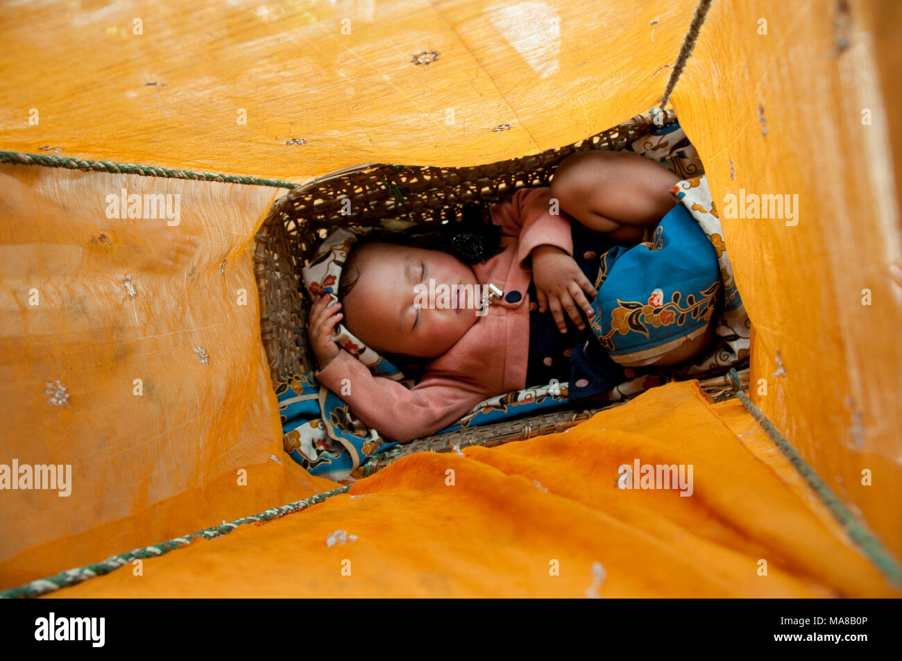 Il Nepal 2014. Pangma. Il bambino dorme in un cestino sotto una sciarpa per proteggere da mosche e zanzare. Foto Stock