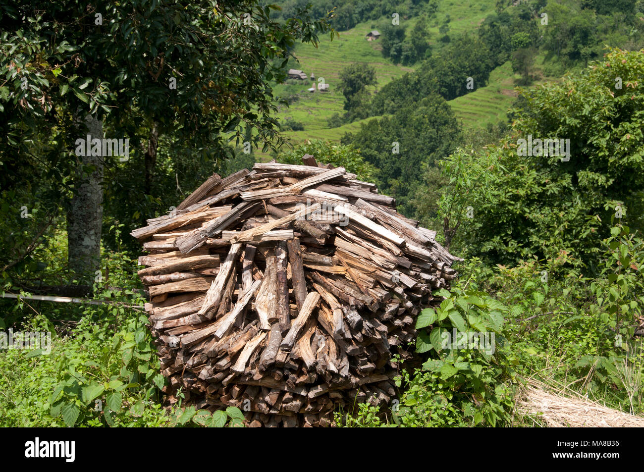 Il Nepal 2014. Khorunde. Ordinatamente impilati woodpile per fornire combustibile per cucinare. Foto Stock