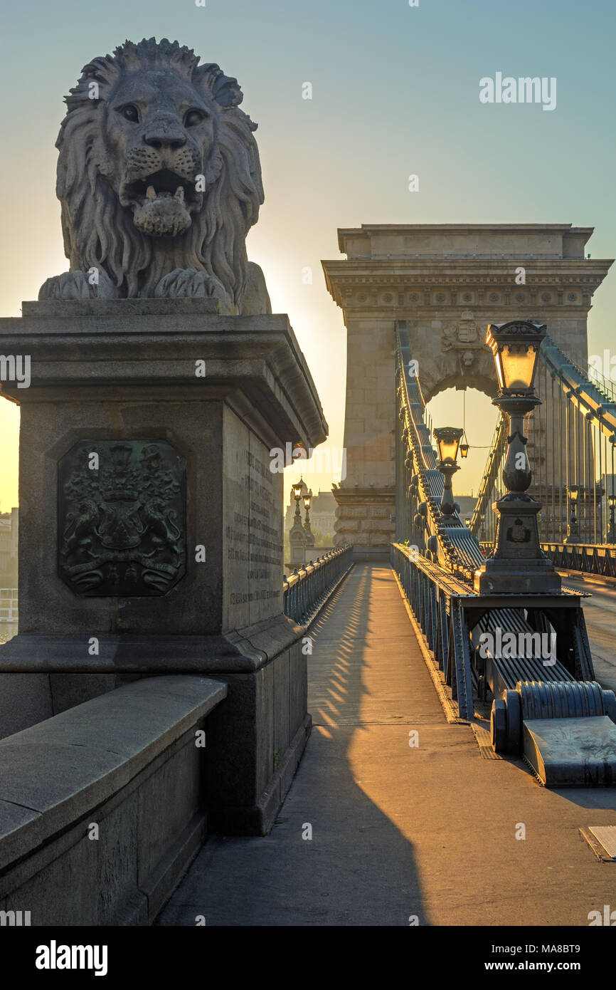 Il monumento del leone sul Ponte delle Catene, Budapest, Ungheria Foto Stock