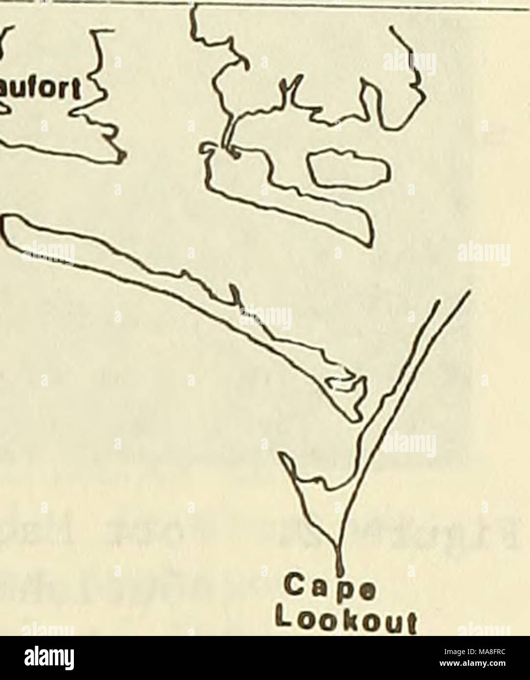 . L'impatto ecologico della spiaggia nutrimento con materiali di dragaggio sulla zona intercotidale in Boga banche, North Carolina . La figura 1. Ubicazione dei siti di studio a Boga banche, North Carolina. La nutrita beach (N) si trova a Fort Macon State Park e la spiaggia di confronto (C) si trova a Isola di Smeraldo. Dietro le dune a entrambe le spiagge è un relitto dune e swale sistema coperto dalla foresta di marittimo. Diversi dei swales contengono acqua dolce abbastanza in quan- tity per sostenere i piccoli mammiferi. Fort Macon è il sito di una restaurata parzialmente pre-guerra civile mattone fort. Il Fort Macon spiaggia è soggetto a fai Foto Stock