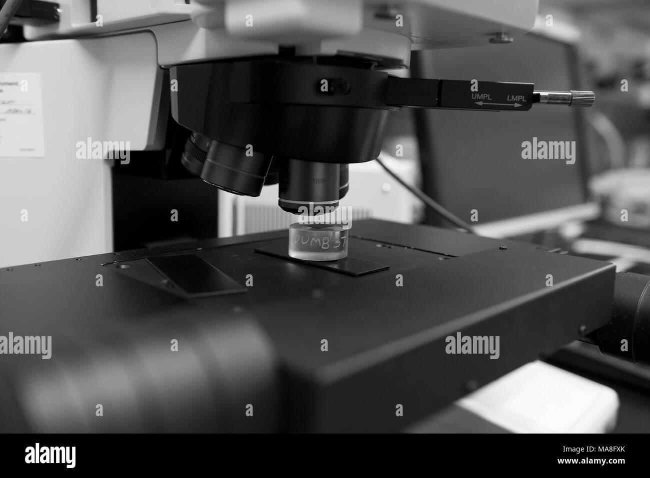 Microscopio ottico Foto e Immagini Stock in Bianco e Nero - Alamy