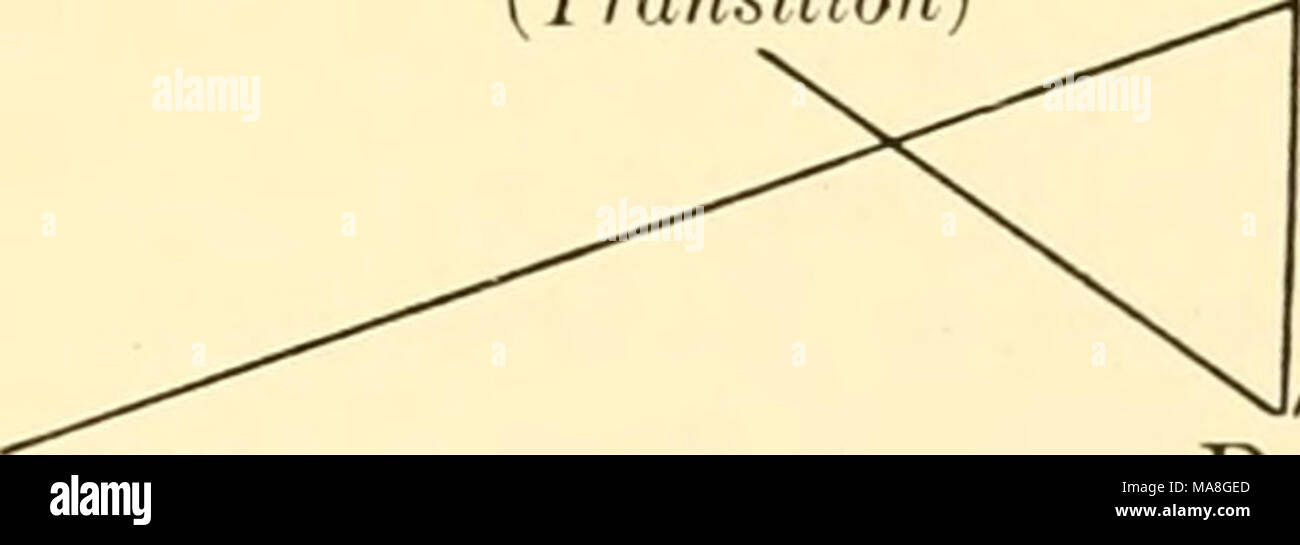 . Ecologico geografia animale; un autorizzato, riscritto edition basato su Tiergeographie auf ockologischer grundlage . Deserto (gazzelle e cammelli) (renna) Tutte queste sono state discusse più o meno, anche se le aree di transizione hanno ricevuto solo incidentali attenzione nei capitoli dedicati alle relative formazioni. La comunità ha trovato su isole non montare natu- rally in questa classificazione ecologica. Essi sono influenzati più di uno qualsiasi dei suddetti, da condizioni locali. La vita sull'isola particolarmente dipende dalla distanza dalla più vicina la massa continentale della terra e sulla lunghezza del tempo poiché connes Foto Stock