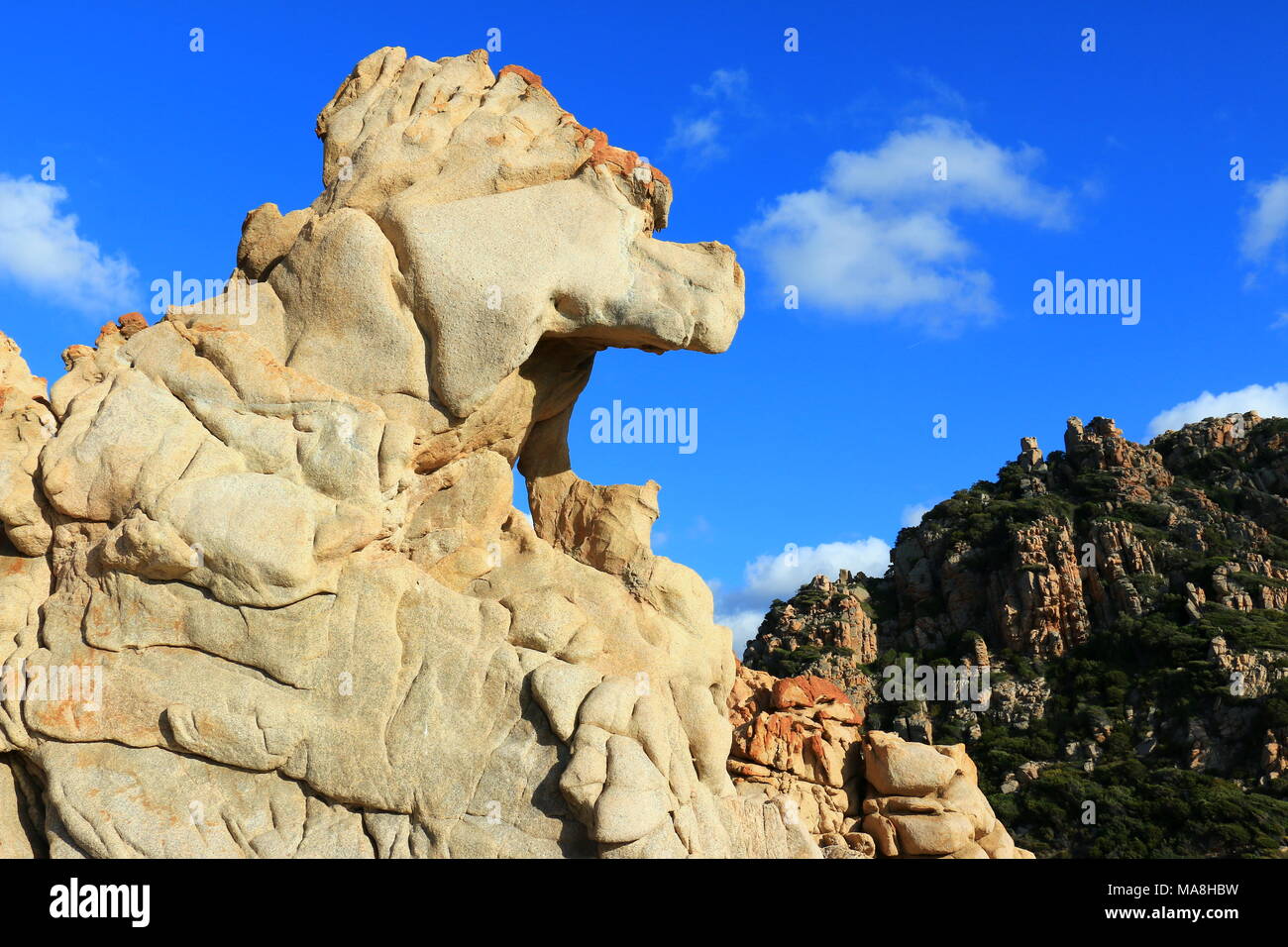 Strano rock looklike un cavallo - Li Cossi Nord Sardegna Foto Stock