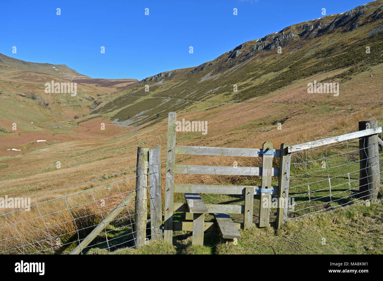 Dog walker su Cadair Berwyn montagne a Pistyll Rhaeadr Foto Stock
