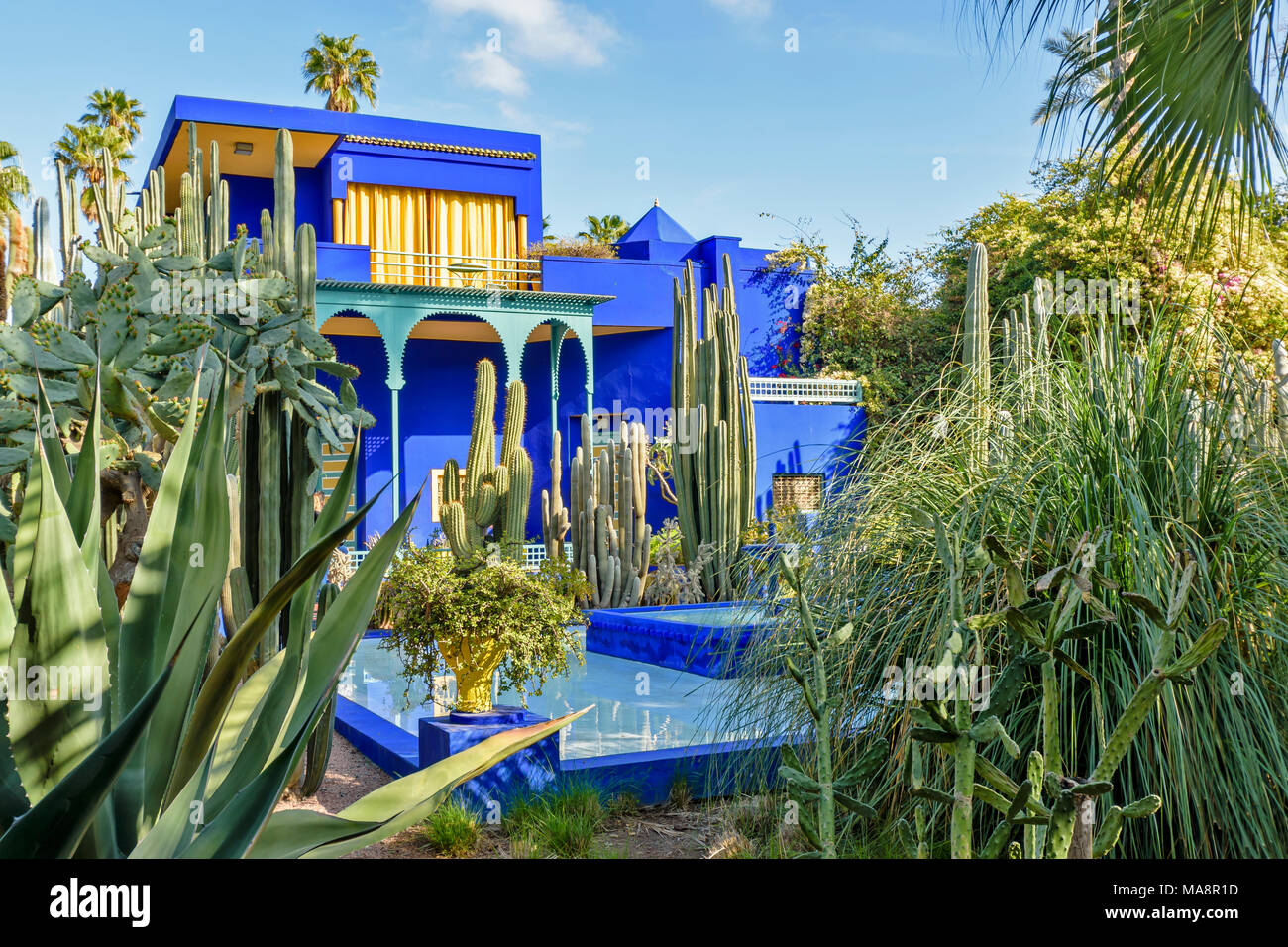 Il Marocco Giardino Majorelle JARDIN IL BLUE House e la piscina circondata da palme e piante di cactus Foto Stock