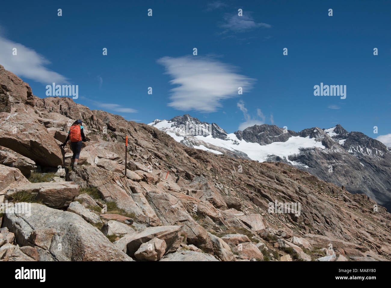Escursionismo La Capanna di Mueller via, Alpi del Sud, Nuova Zelanda Foto Stock