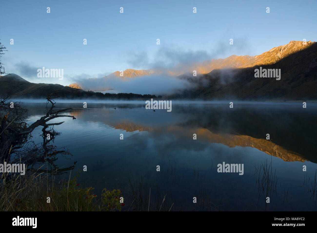 Nebbia di mattina sul lago fuma vicino a Queenstown, Nuova Zelanda Foto Stock