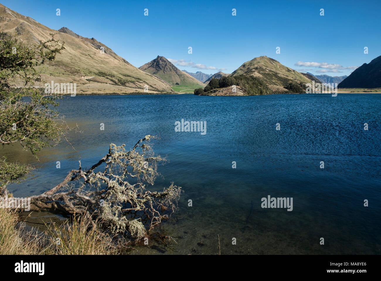 Tranquillo Lago fuma vicino a Queenstown, Nuova Zelanda Foto Stock