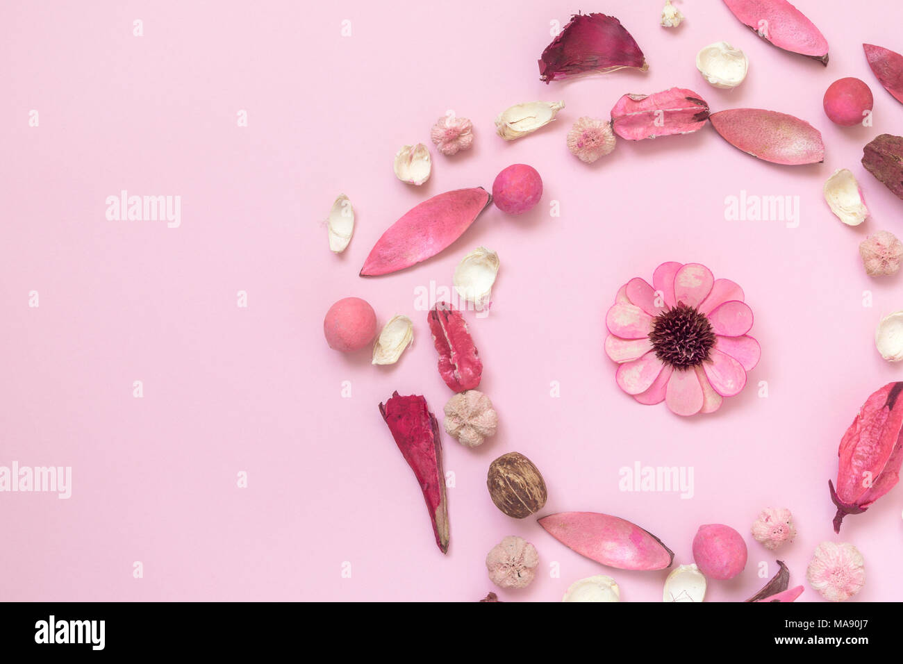 Fiori, foglie e parti di piante sul rosa pastello sfondo minima piatti creativi concetto laici. Foto Stock